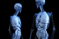 Here’s Why You Should Do Strength Training for Your Lungs, Too